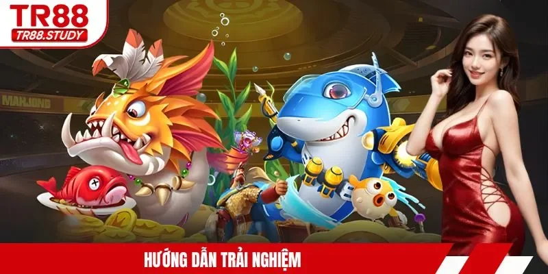 Hướng dẫn trải nghiệm