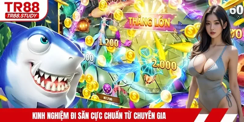 Kinh nghiệm đi săn cực chuẩn từ chuyên gia